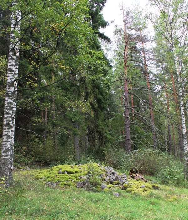 Kivirakennelma Rapolassa