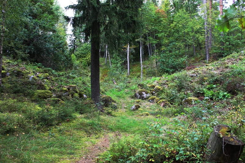 Rapolan muinaislinnan portti