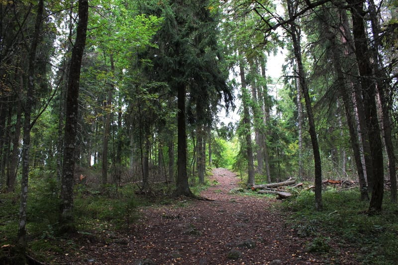 Tie Rapolan muinaislinnalle